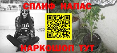 ешки Гагарин