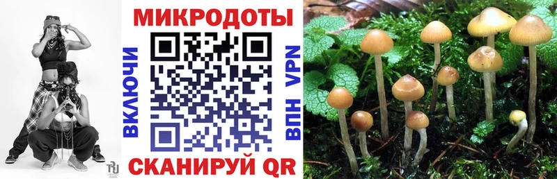 купить закладку  blacksprut рабочий сайт  Псилоцибиновые грибы ЛСД  Керчь 